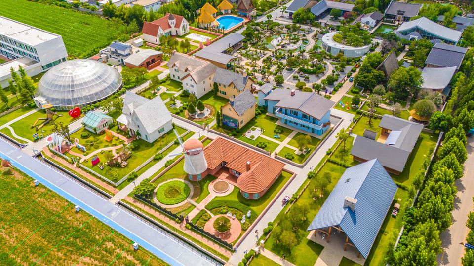 entit, 日至 entit, 日至