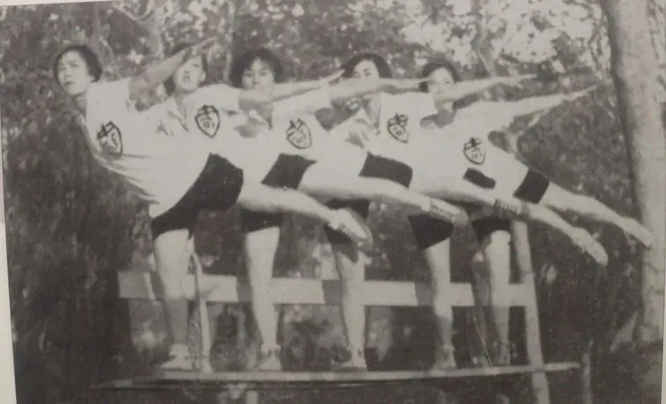 第一所培养 第一所培养